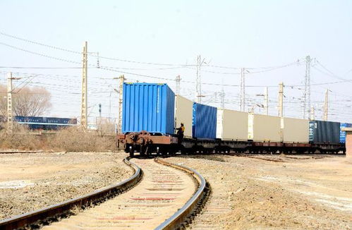 甘肅首列單一品名跨境電商國(guó)際貨運(yùn)專(zhuān)列在武威南站發(fā)運(yùn)